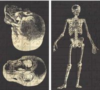 HomArt Large Decorative Infirmerie General Matches