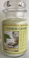 Yankee Candle SEA SALT & WHITE SAGE Large 22 oz Candle