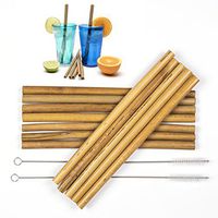 (12) Reusable Bamboo Straws (2) Brushes