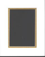Pack of 10 8x10 White & Gold Double Picture Mats Mattes Matting Cut for 5x7 Pictures