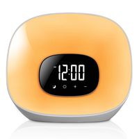 Housbay Ultra Bright Wake Up Light - Sunrise and Sunset Simulation, 7-Color Night Light, Bedside Lamp, FM Radio Alarm Clocks for Kids Adults,Bedrooms