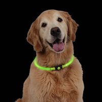 Hot Sale! Paymenow Pets Dogs Cats Adjustable Collar Night Safety Collar Glow Light Buckle for Small Medium Large Dog (Green, L)