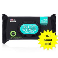 Dude Products Wipes Flushable Wet Wipes Dispenser, Mint Chill, 160 Count - Scented Wet Wipes with Vitamin-E, Aloe, Eucalyptus & Tea Tree Oils for at-Home Use, Septic & Sewer Safe (160 Count Total)