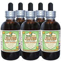 Jujube (Ziziphus Jujuba) Glycerite, Organic Dried Fruits Alcohol-Free Liquid Extract (Brand Name: HerbalTerra, Proudly Made in USA) 5x2 fl.oz (5x60 ml)