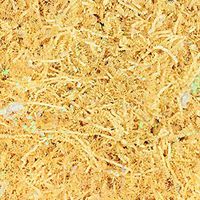 Worlds Crinkle Cut Paper Shred for Packing Filler Gift Wrap Basket Filler Colored Crinkle Paper 2LB French Vanilla