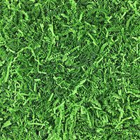 Worlds Crinkle Cut Paper Shred for Packing Filler Gift Wrap Basket Filler Colored Crinkle Paper 1LB Lime Green