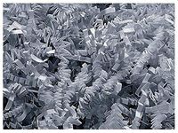 NWAMR-ZF10GY Gray Crinkle Cut Paper Shred 10 lb ~ Spring-fill Shred
