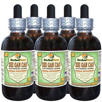 Zhi Gan Cao, Licorice (Glycyrrhiza Glabra) Glycerite, Organic Dried Processed Root Powder Alcohol-Free Liquid Extract (Brand Name: HerbalTerra, Proudly Made in USA) 5x2 fl.oz (5x60 ml)