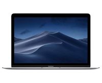 Apple MacBook (12", 1.3GHz dual-core Intel Core i5, 8GB RAM, 512GB SSD) - Silver