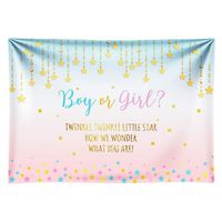 Funnytree 10x8ft Durable Fabric Pink and Blue Gender Reveal Party Backdrop No Wrinkles Boy Or Girl Twinkle Twinkle Little Star Photography Background Photo Banner for Baby Shower Photo Booth