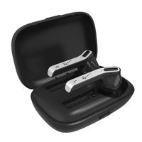 Laud Wireless Earbuds Bluetooth 5.0 Headphones - True Wireless Earbuds Stereo Sound Bluetooth Earbuds 8H Playtime Wireless Earphones with Charging Case (Black)