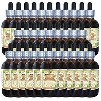 Turkey Tail Mushroom (Trametes Versicolor) Tincture, Dried Mushroom Liquid Extract (Brand Name: HerbalTerra, Proudly Made in USA) 30x2 fl.oz (30x60 ml)