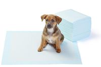 AmazonBasics Regular Pet Dog and Puppy Training Pads - Pack of 50