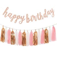 Aonor Rose Gold Birthday Party Decorations - Glittery Rose Gold Happy Birthday Banner and Tissue Paper Tassels Garland for Birthday Decorations
