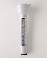 Intex 29039 B00I9LO0Z8 Floating Pool Thermometer, 1-Pack, White