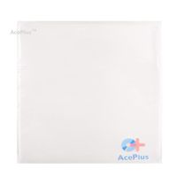 AcePlus 100 CPP CD Vinyl Sleeves 5"x5" with No Flap