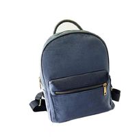 Women Gold Velvet Small Backpack School Book Shoulder Bag (Grey)