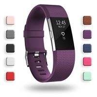 POY Replacement Bands Compatible for Fitbit Charge 2, Classic Edition Adjustable Sport Wristbands, Large Plum