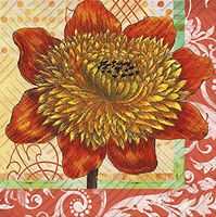 Cypress Home Splendid Posy Paper Cocktail Napkin, 20 count