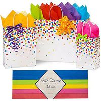 Birthday Gift Bags Rainbow Multicolor Assortment (Rainbow Assorted w Tissue, 3)