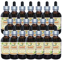 Bilberry (Vaccinium Myrtillus) Tincture, Dried Berries Liquid Extract (Brand Name: HerbalTerra, Proudly Made in USA) 20x4 fl.oz (20x120 ml)