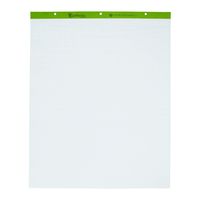 Ampad 24-032R Evidence Flip Chart Pads Ruled with 1-Inch Squares, 27x34, 50 Sheets Per Pad, 2 Pads Per Pack