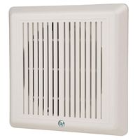 Temporal Horn, White