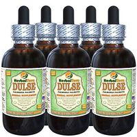 Dulse (Palmaria Palmata) Glycerite, Organic Dried Leaves Alcohol-Free Liquid Extract (Brand Name: HerbalTerra, Proudly Made in USA) 5x2 fl.oz (5x60 ml)