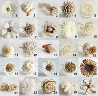 Plawanature Set of 25 Mixed Sola Wood Flower with Reed Diffuser for Home Fragrance Aroma Oil.