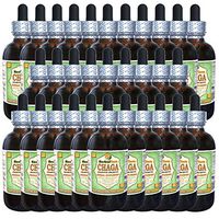 Chaga (Inonotus Obliquus) Glycerite, Dried Whole Mushroom Alcohol-Free Liquid Extract (Brand Name: HerbalTerra, Proudly Made in USA) 30x2 fl.oz (30x60 ml)