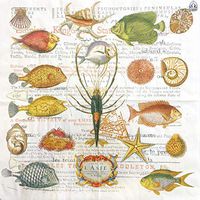Marine Organism, Paper Napkins, 20 Count