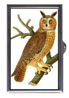1890s Owl Steampunk Amazing Color Naturalist; Decorative Pill Box