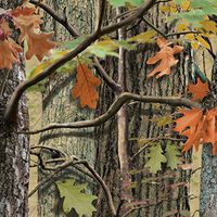 Club Pack of 432 Hunting Camo Premium 3-Ply Disposable Party Beverage Napkins 5"