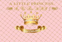 LFEEY 7x5ft Baby Shower Photo Backdrop for Girl Sweet Pink Gridding Pattern Background for Photography Little Princess Party Photoshoot Booth Props