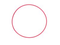 Olympus POL-EP03 O-Ring for PT-EP03