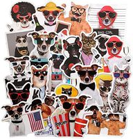 Funny Dog and Cat Stickers, Pet with Sunglasses Sticker Decal for Laptop, Water Bottles, Cars, Teens, Men, Women, Kids, Girls, 38pcs Vinyl Waterproof Sticker Pack, No Repeat(Dog and Cat Stickers)