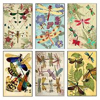 Mini Matchbook Set of 6 Images (Dragonflies)