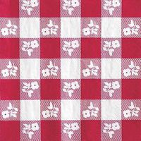 Red Gingham Luncheon Napkin, 2 Ply (12pks Case)
