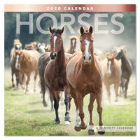 2020 Horses Wall Calendar (LME1591020)