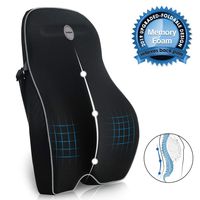 Villsure Lumbar Support Pillow, Memory Foam Back Cushion with Breathable 3D Mesh for Car Seat,Office/Computer Chair and Wheelchair,Ideal Ergonomic Back Pillow for Back Pain Relief