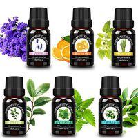 ISUDA Essential Oils Gift Set, Premium Grade Aromatherapy Oils kit for Diffuser, Humidifier, Massage, Skin & Hair Care, 10 ML/6 Count Lavender, Tea Tree, Eucalyptus, Lemongrass, Orange, Peppermint