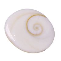 IndianStore4All Natural Gomti Chakra 18-20 MM Approx