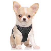 Rabbitgoo  Dog Harness No-Pull Pet Harness Adjustable Outdoor Pet Vest 3M Reflective Oxford Material Vest for Dogs Easy Control for Small Medium Large Dogs (Black, S)