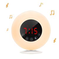 Wake-Up Light Sunrise Alarm Clock Radio with Sunrise Sunset Simulation, Dual Alarm, 4.2 Bluetooth Speaker, 3 Natural Sounds, AM/FM Radio, Snooze Function and Bedside Lamp