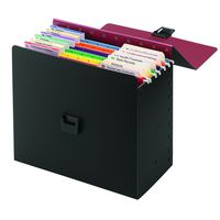 Smead Life Documents Organizer Kit (92010)