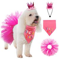 SCENEREAL Dog Birthday Bandana Girl - Birthday Party Supplies -Tutu Skirt,Hat & Scarf Set for Pet Puppy Cat Girl,Pink Outfit for Birthday Party