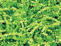 Gift Wrap Crinkle & Filler Paper Shred (Lime Green Shred 4 OZ)