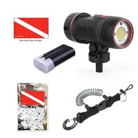 Sea Dragon 3000F COB LED UW Photo-Video-Dive Light Head w Spare Battery Combo