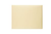Quality Park, Document Envelopes, Gummed, Cameo Buff, 10x15, 100 per Box (54416)