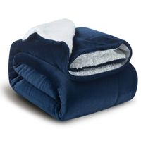 BEDSURE Sherpa Fleece Blanket Throw Size Navy Blue Plush Throw Blanket Fuzzy Soft Blanket Microfiber